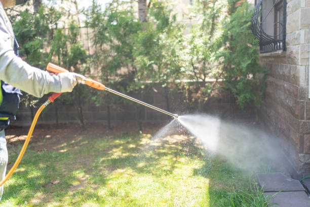 Best Organic or Eco-Friendly Pest Control  in Nashville, MI